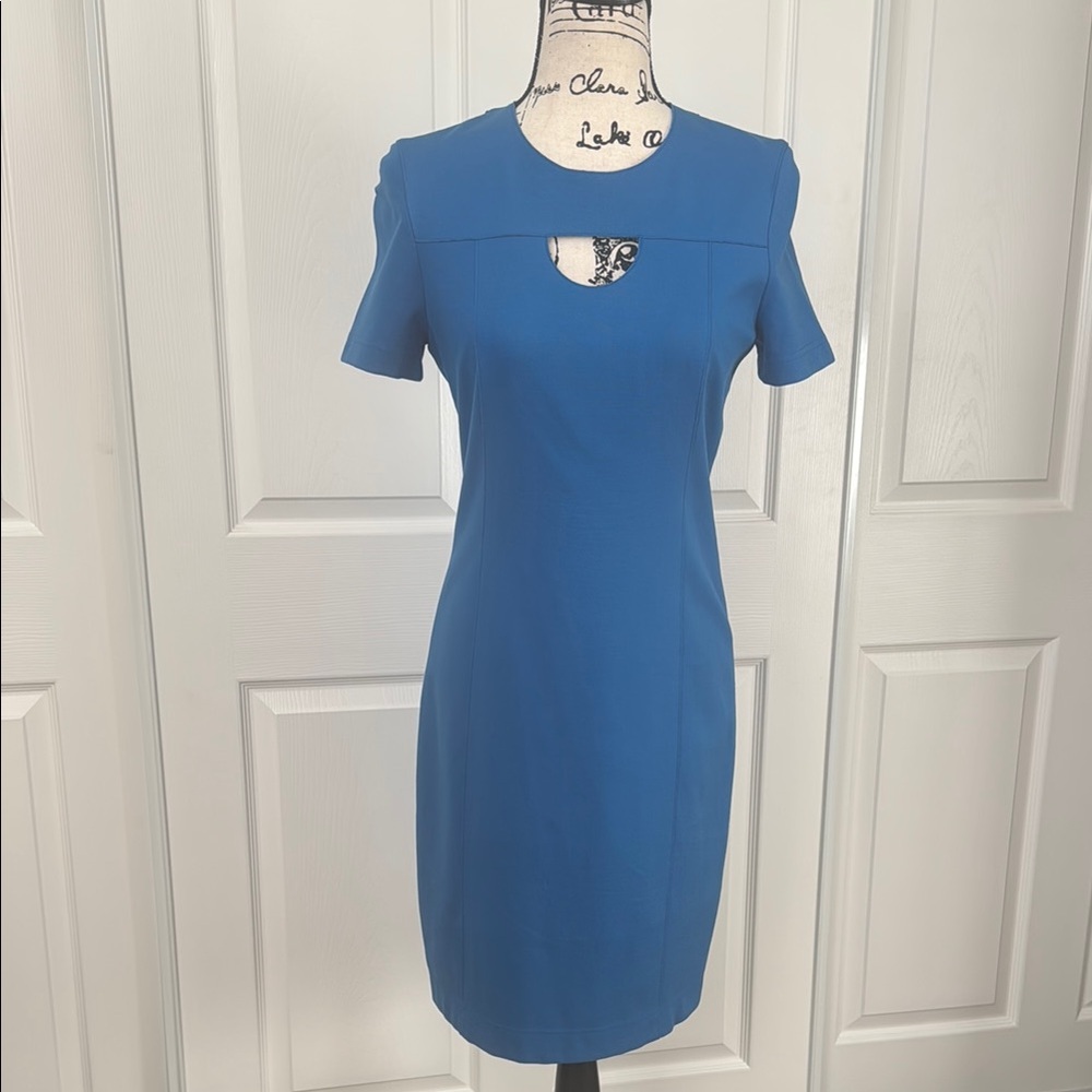 Elegant Blue Akris Punto Women's Dress